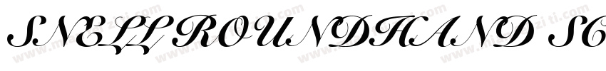 SNELL ROUNDHAND SCRIPT BOLD字体转换